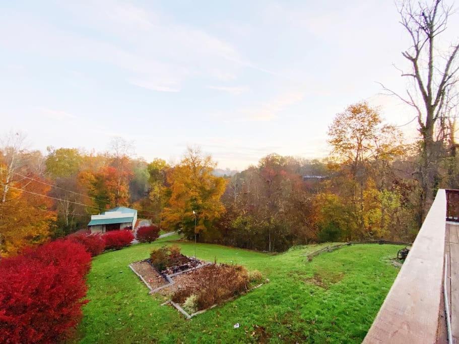 Dog Friendly! Views! Hot Tub! Close To Pf! Gsmnp Sevierville Kültér fotó